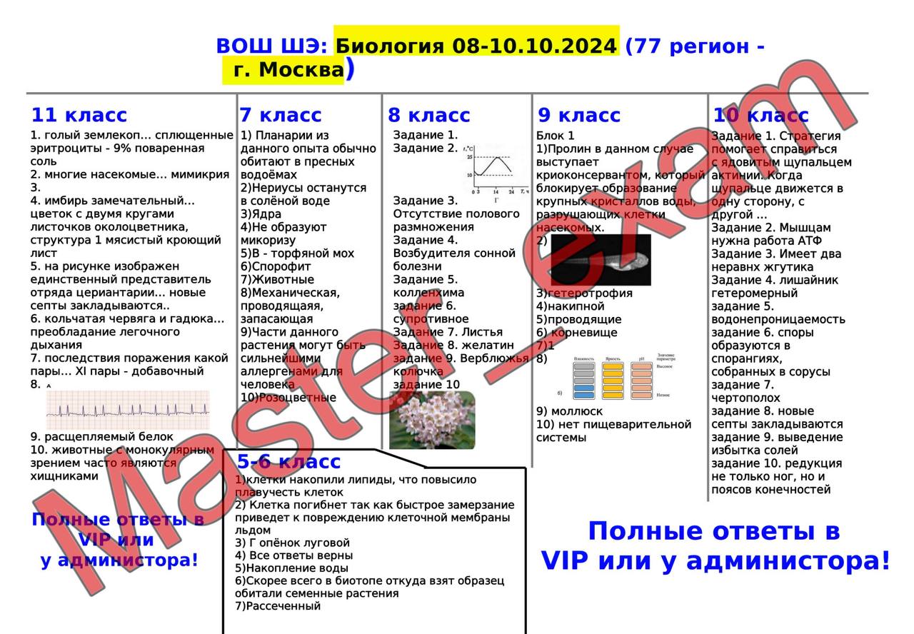 Что будет 8 классе 2025 2025. Что будет 8 классе 2025 2025