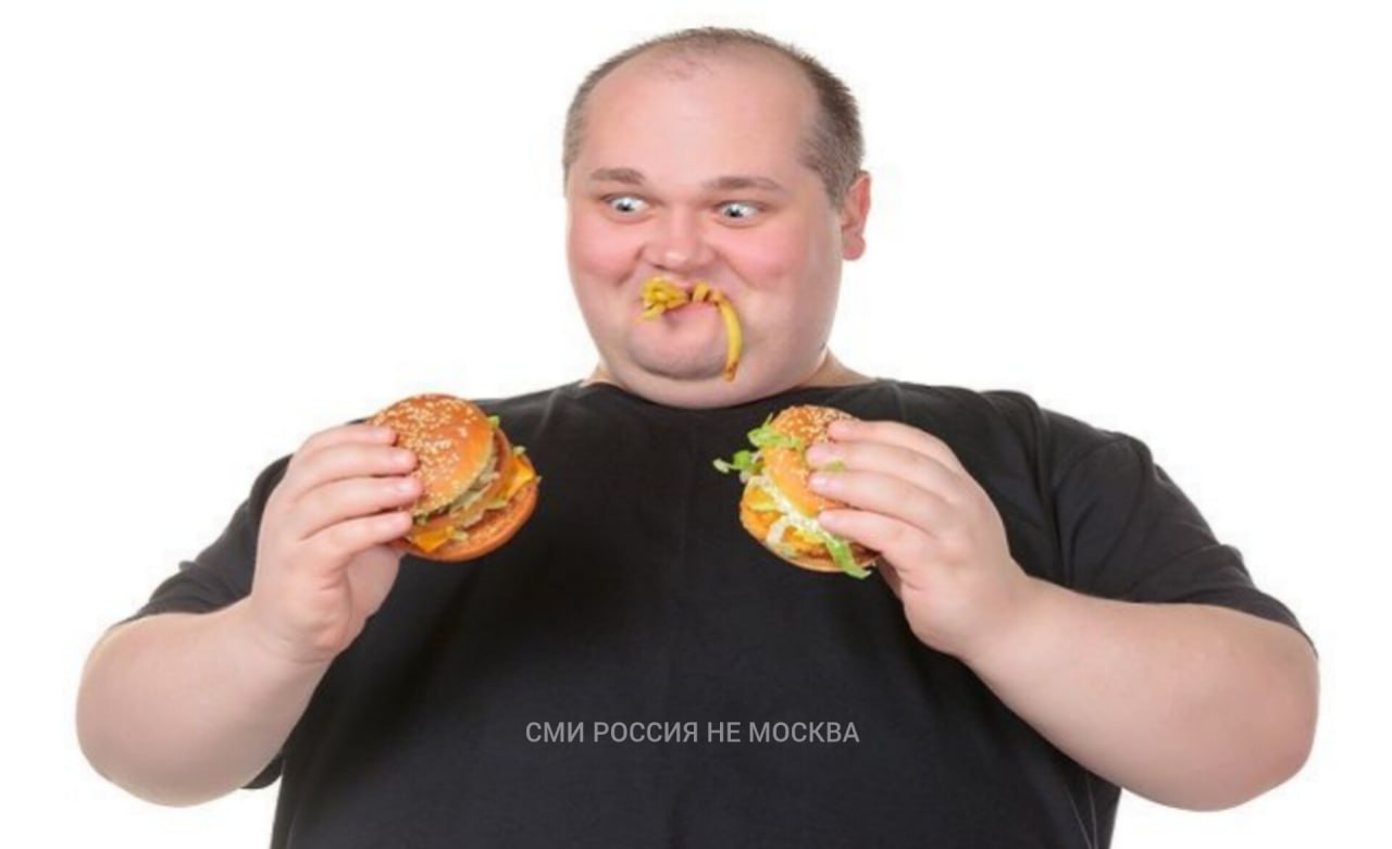 Человек ест картошку. Толстяк с гамбургером. Живот после 20 бургеров. Fat meal. Fat meal.