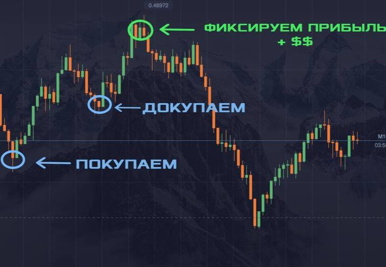 Где Купить Инструкцию